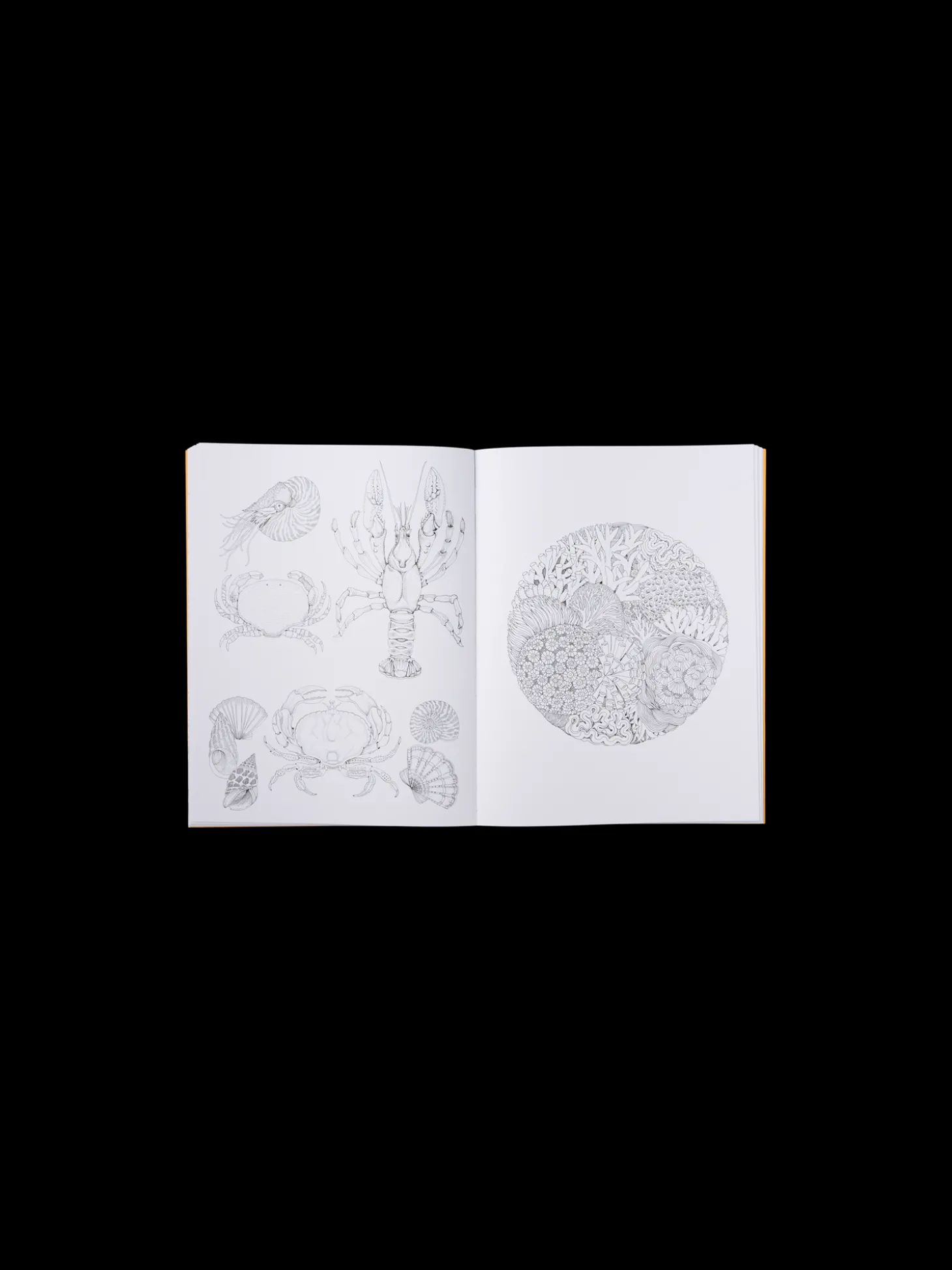 Beautiful Planet Colouring Book