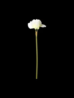 Kunstig Blomst