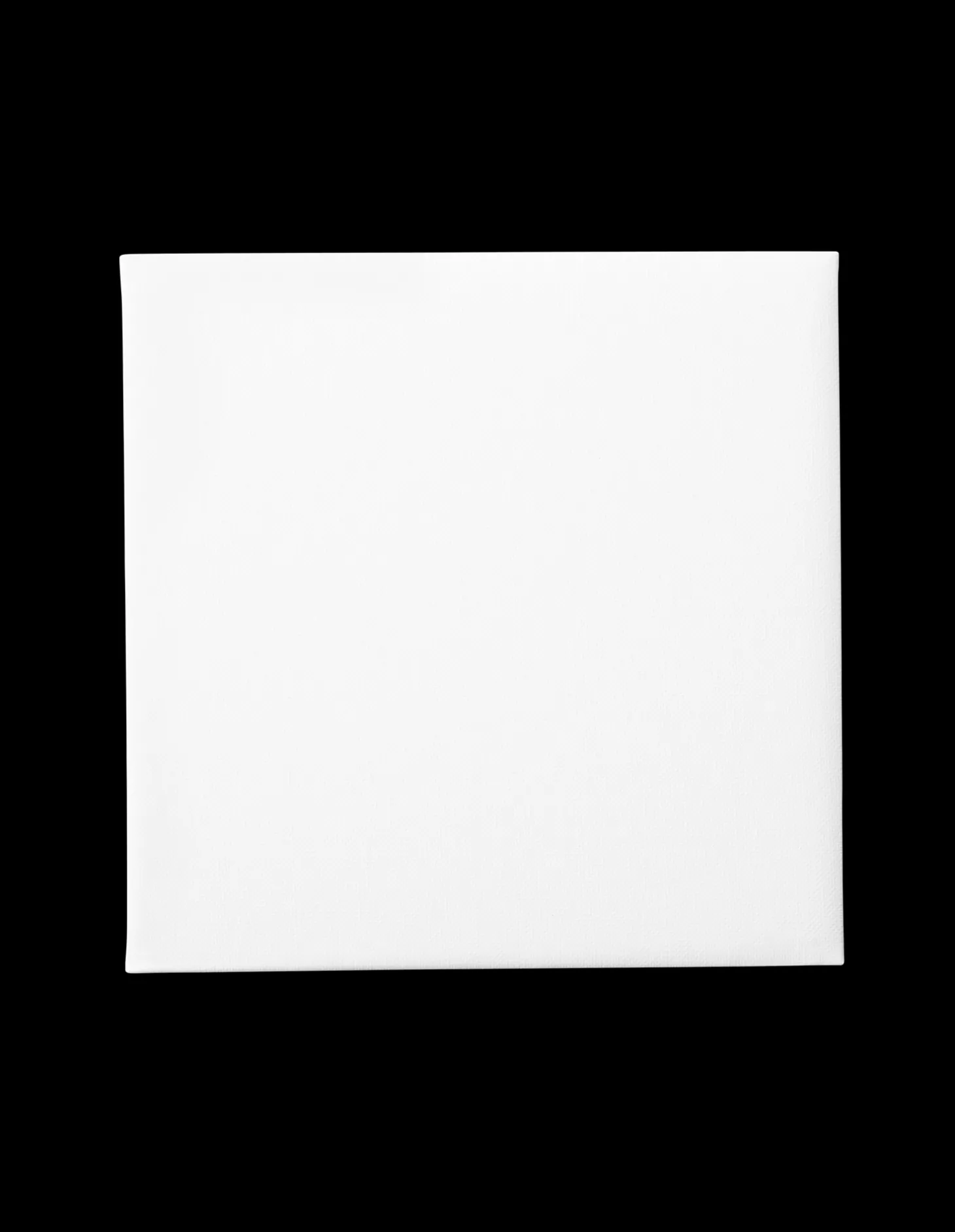 Malerplade 25 X 25