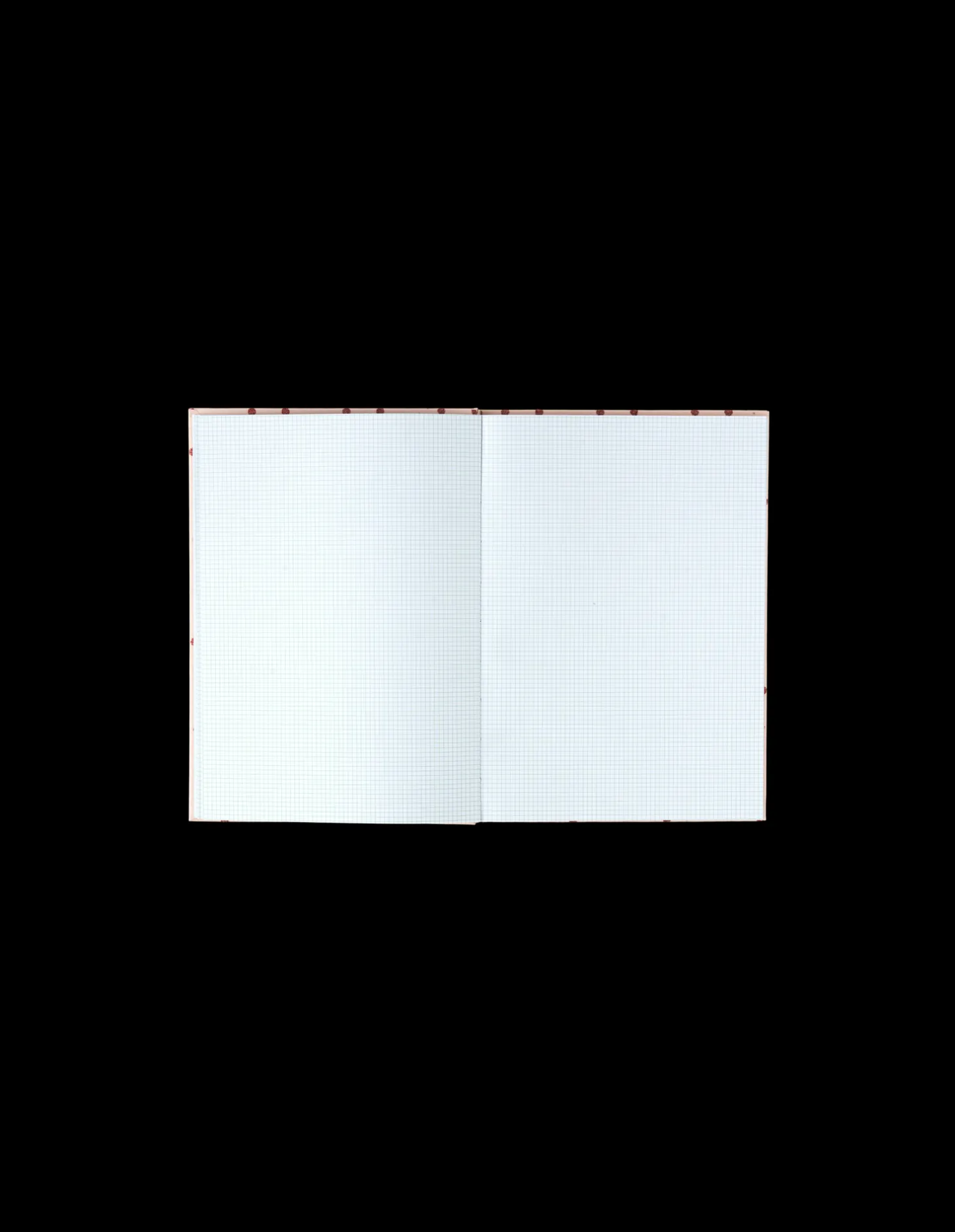 Notesbog Med Ternet Papir