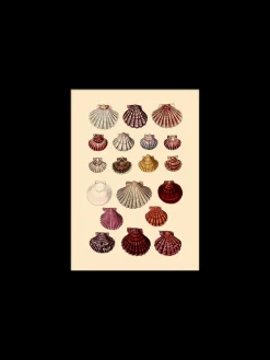 Plakat 15 X 21