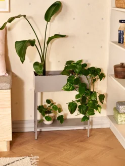 Planteopsats