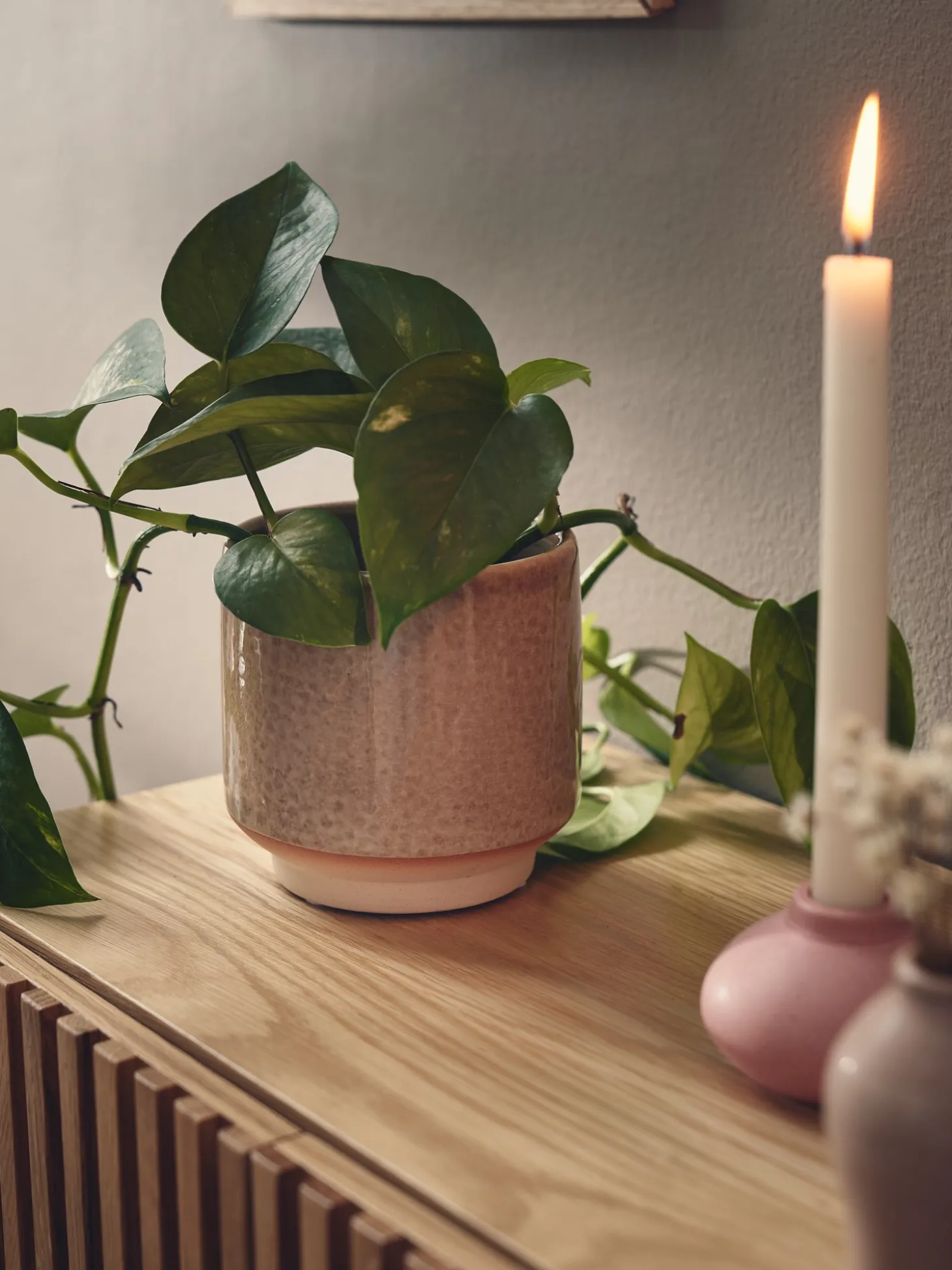 Urtepotteskjuler